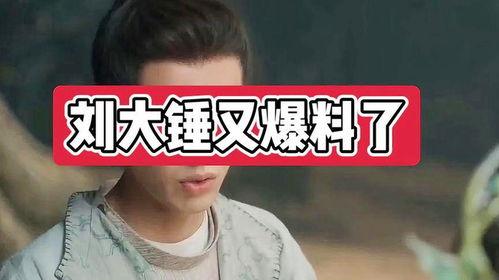 刘大锤独家爆料视频全集,揭秘视频全集背后的惊人真相 第1张 刘大锤独家爆料视频全集,揭秘视频全集背后的惊人真相 第1张