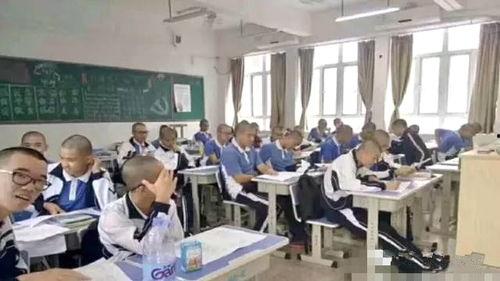 桃城学校爆料案件视频,揭秘校园疑云事件  第3张